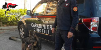 Home - Corriere Salentino