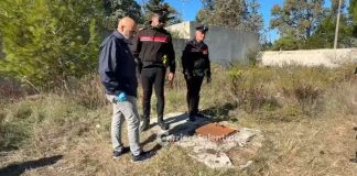 Home - Corriere Salentino