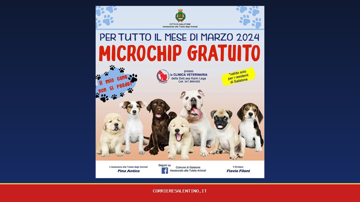 Per tutto il mese di marzo Microchip gratuito - Corriere Salentino Lecce